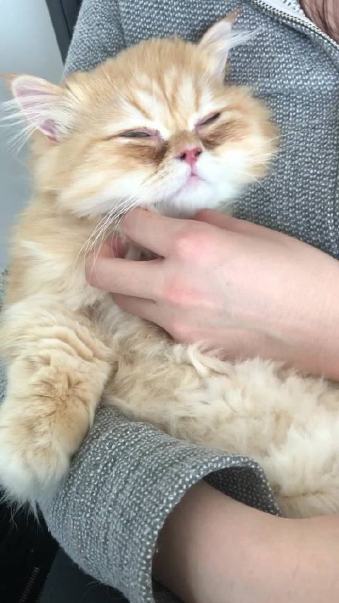 今天我妈揍我了 美国·波士顿...
